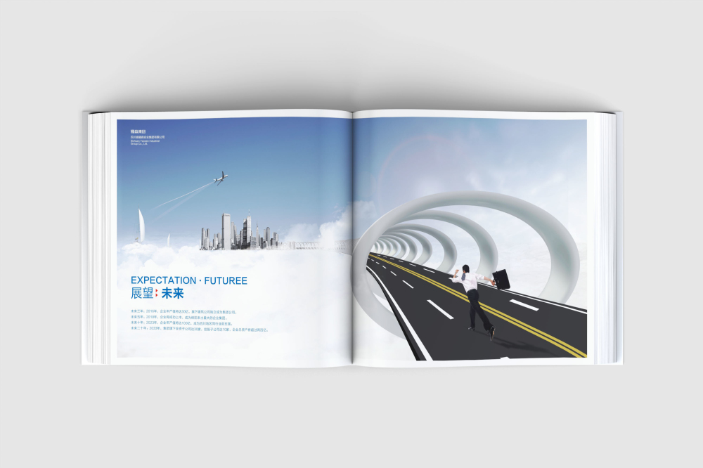 芦山县画册设计